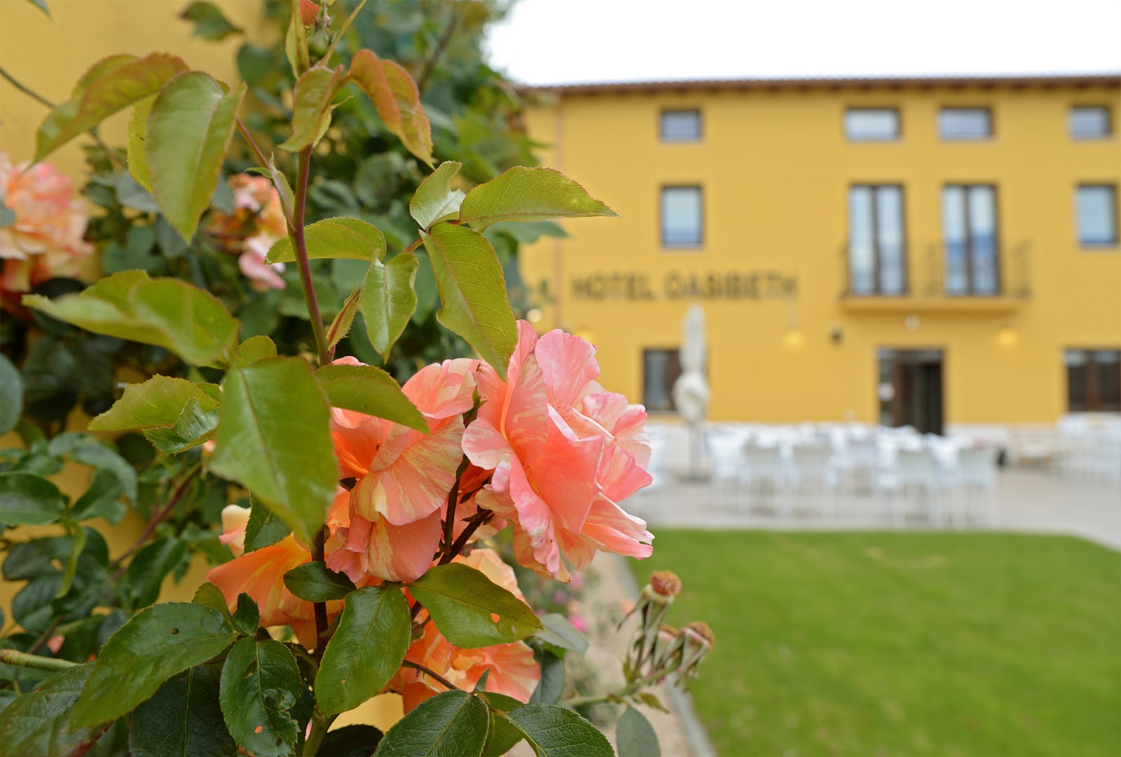 Hotel Rural Oasibeth photo 4, hotel accommodation in Frómista on the Camino Frances