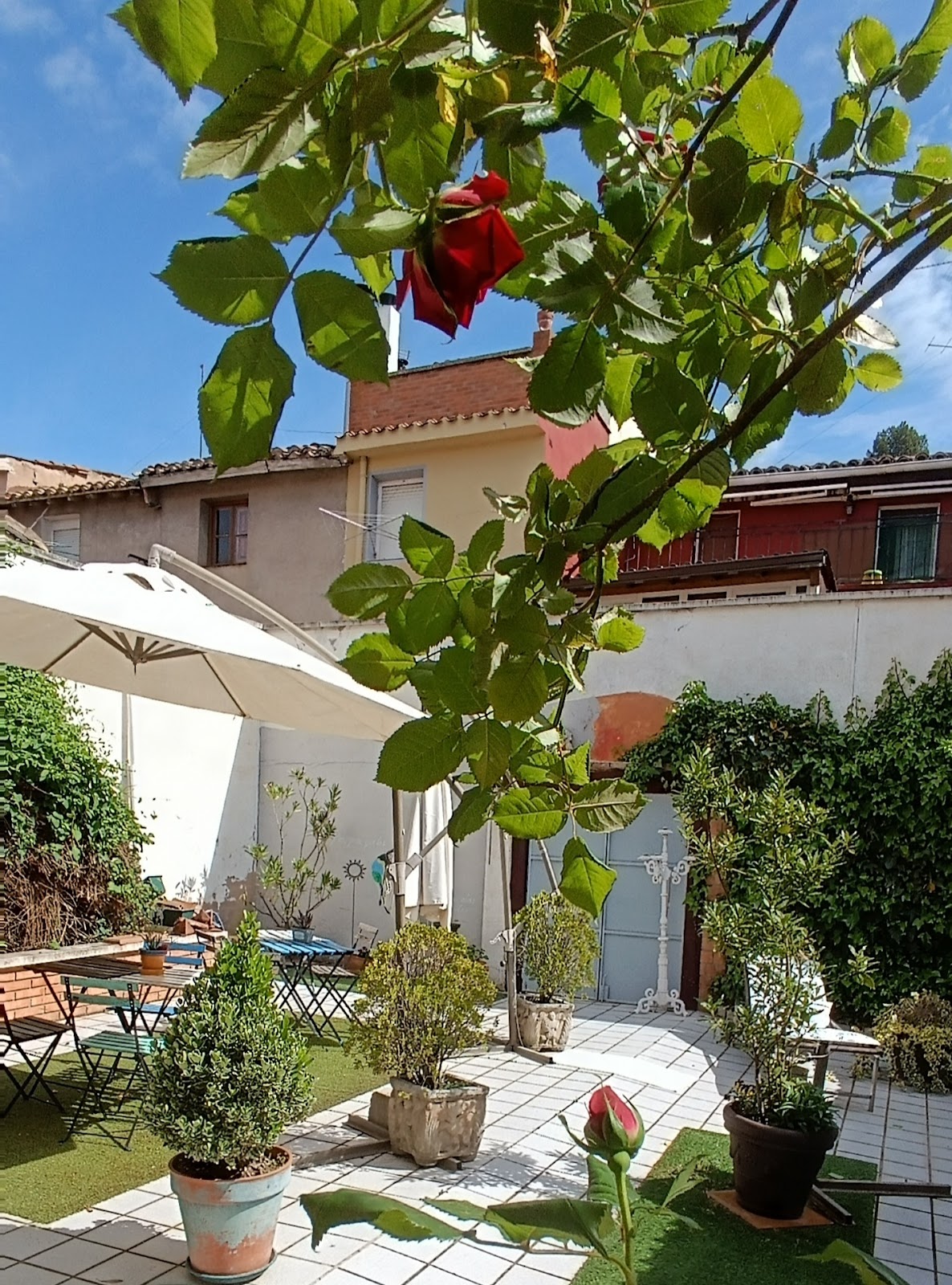 Peregrinando | Pensión con encanto, pension accommodation in Navarrete on the Camino Frances