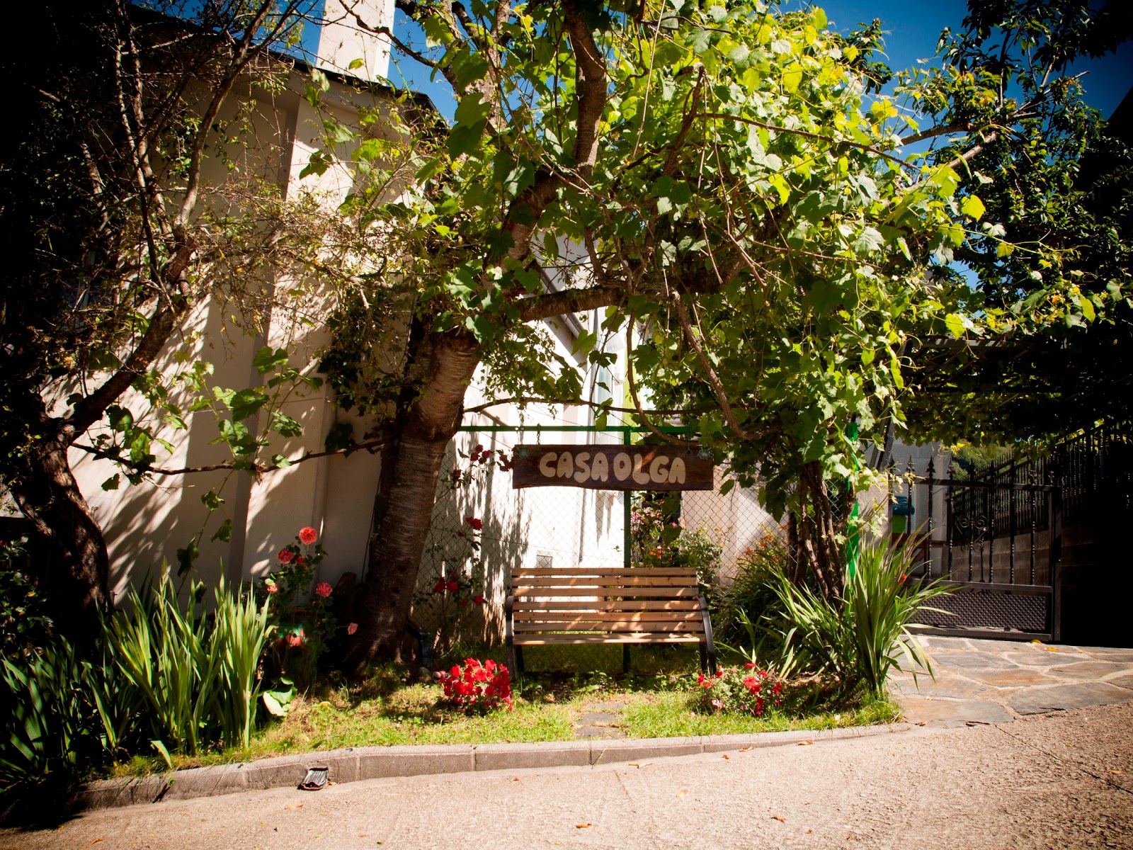 Casa Olga Triacastela, pension accommodation in Triacastela on the Camino Frances