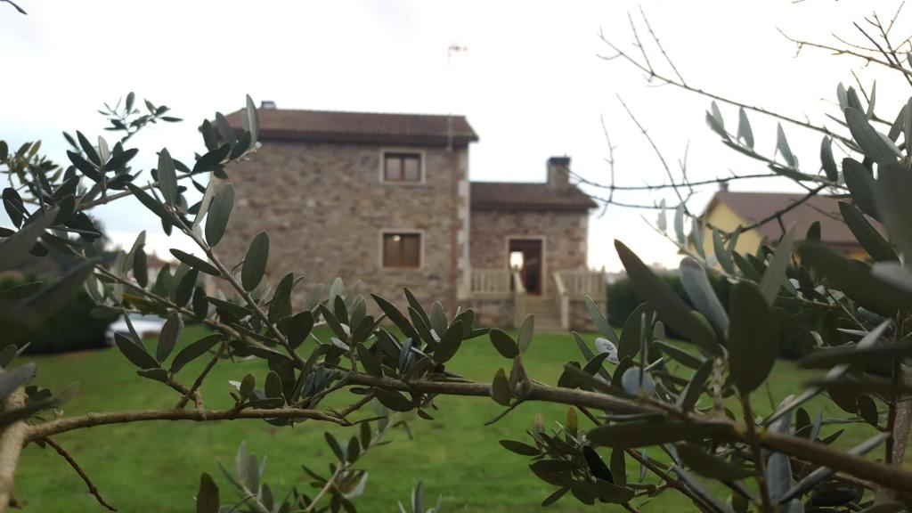 Casa Loisiana, pension accommodation in A Salceda on the Camino Frances