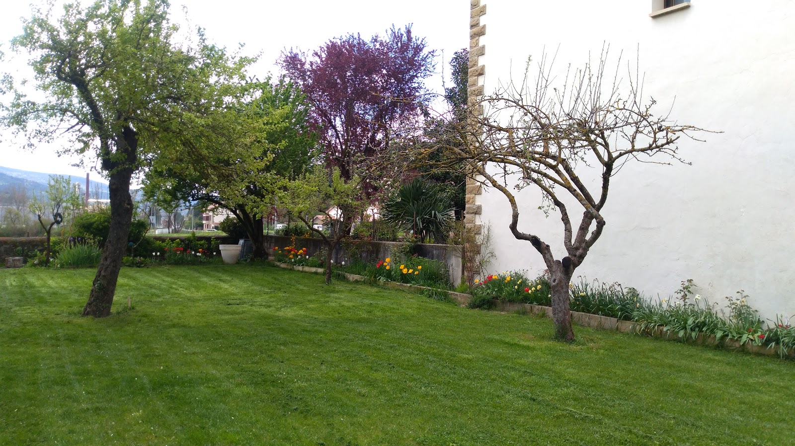 CASA RURAL TXANTXORENA photo 8, pension accommodation in Zubiri on the Camino Frances