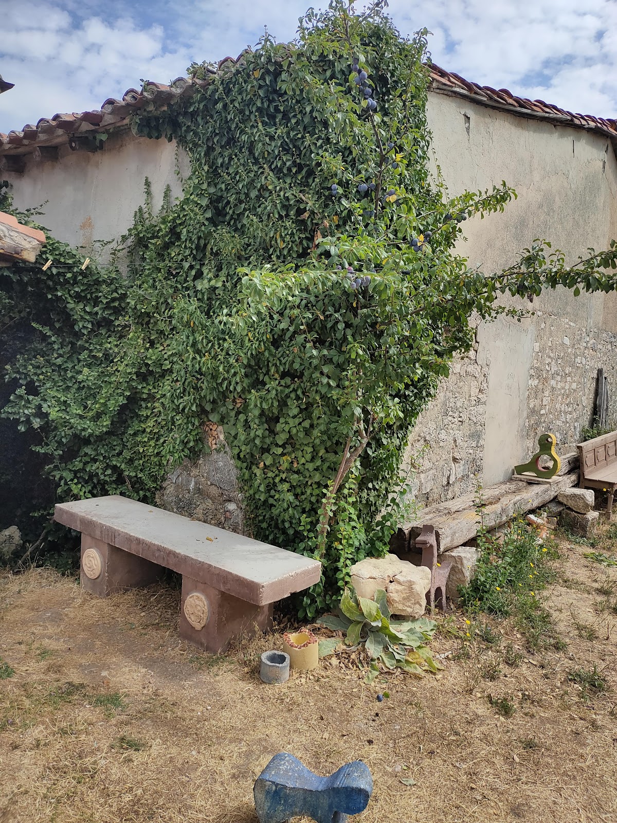 Hostel La Plazuela Verde photo 6, albergue accommodation in Atapuerca on the Camino Frances