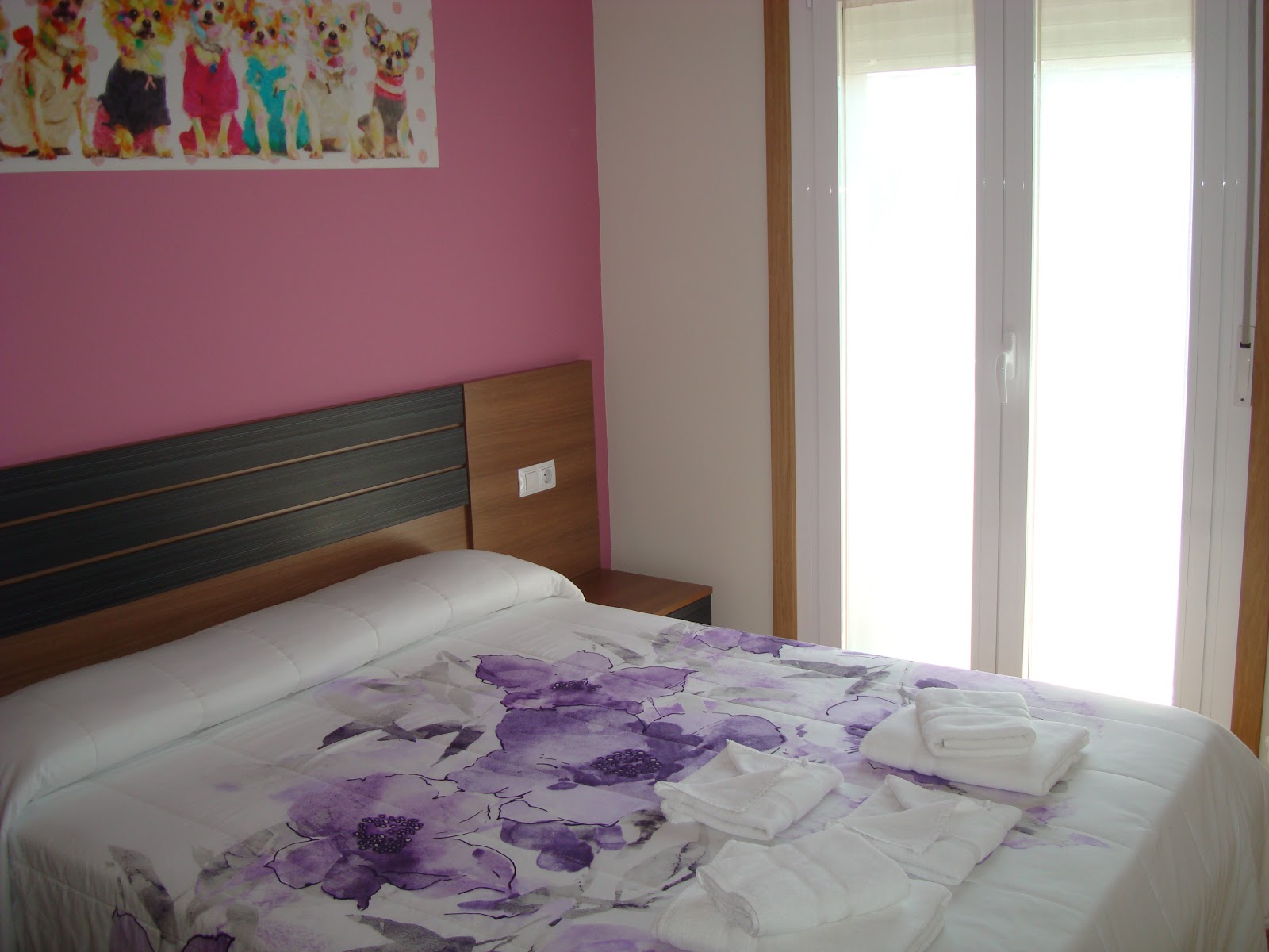 Pensión A Solaina photo 16, pension accommodation in Pedrouze / Arca on the Camino Frances