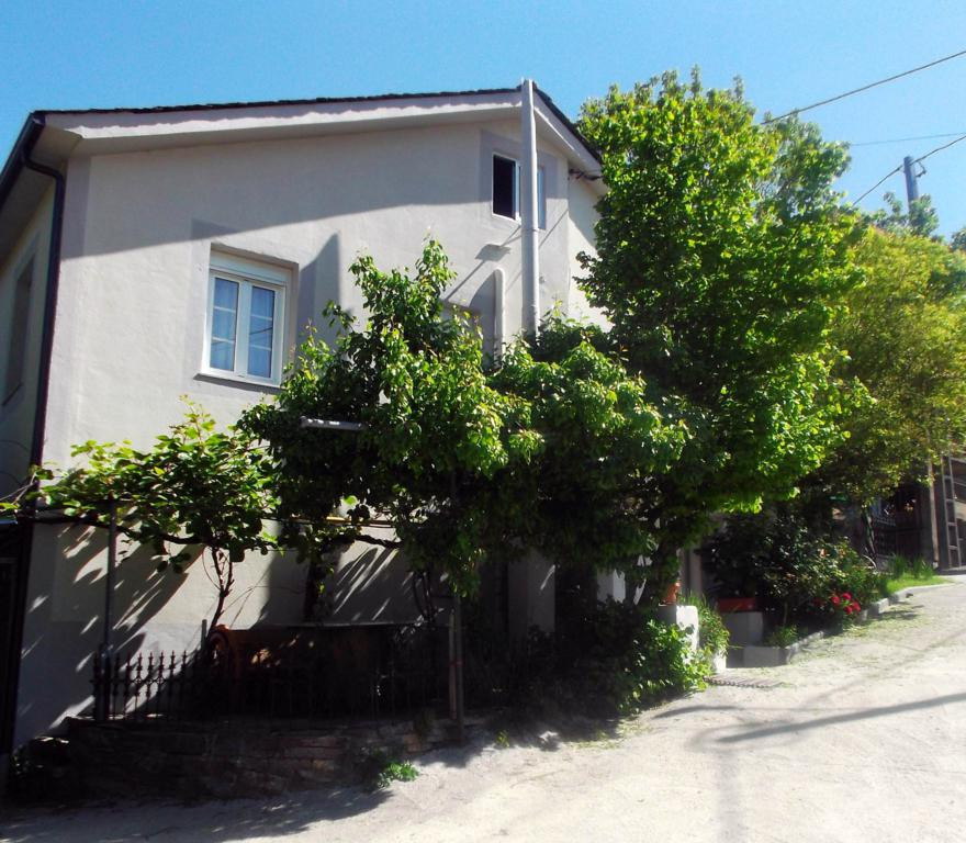 Casa Olga Triacastela photo 10, pension accommodation in Triacastela on the Camino Frances