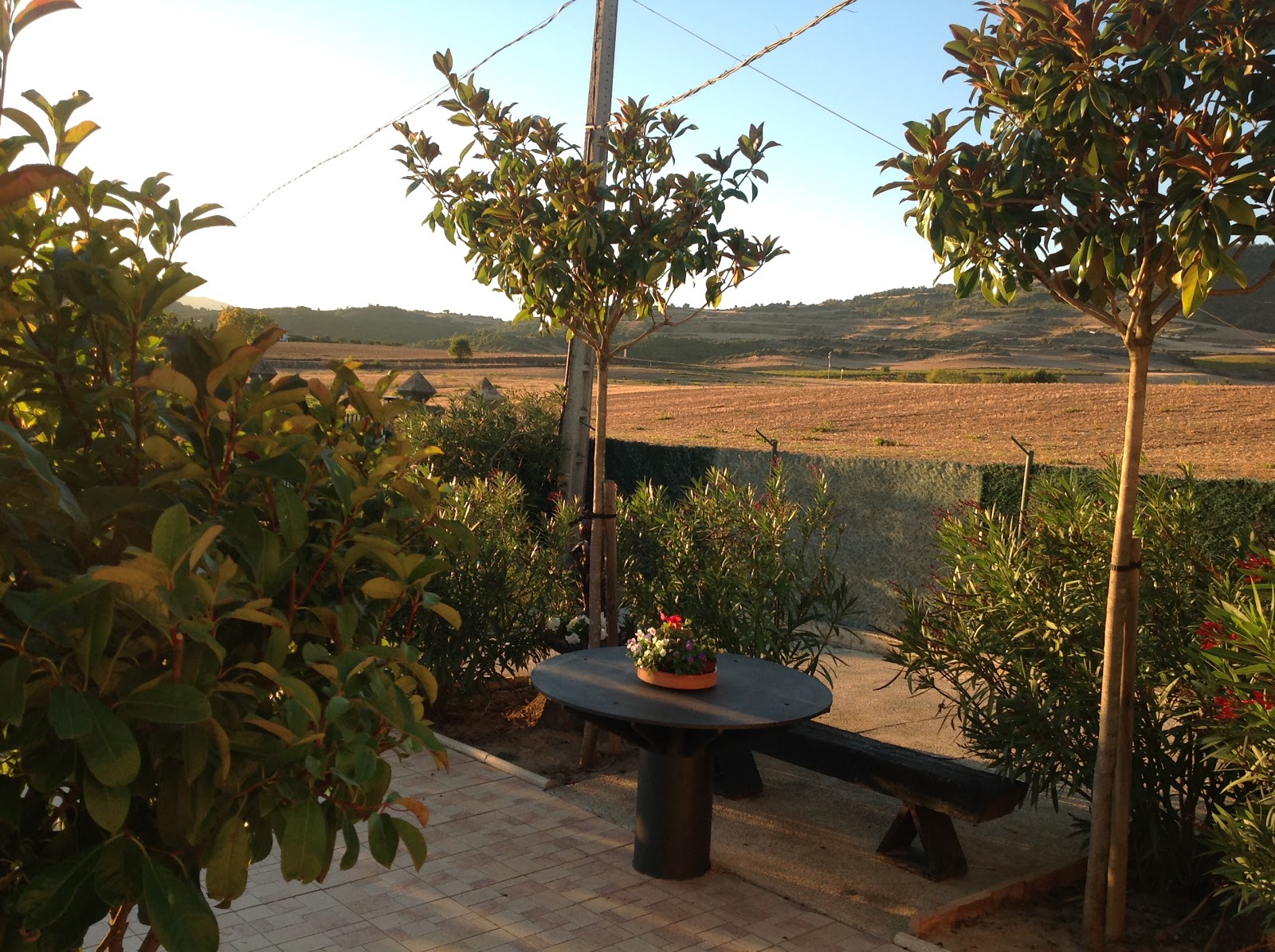 Casa ARIMA photo 10, apartment accommodation in Luquin on the Camino Frances