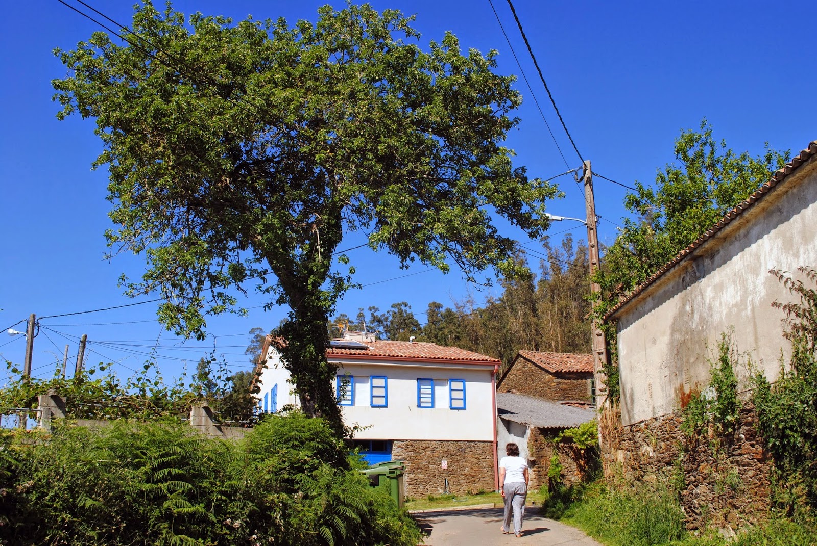 Albergue Rural Astrar photo 19, albergue accommodation in Santa Irene on the Camino Frances