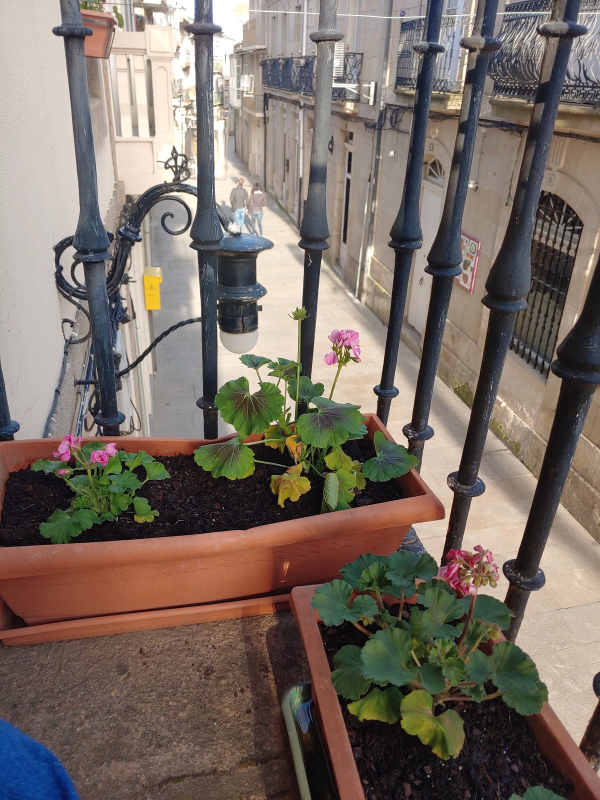 Casa Batallon photo 6, pension accommodation in Sarria on the Camino Frances
