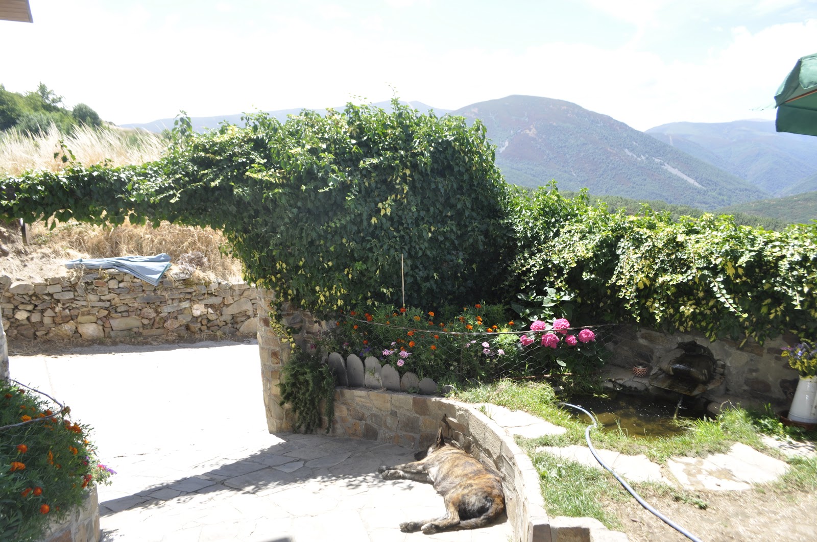 La Trucha del Arco Iris photo 9, pension accommodation in El Acebo on the Camino Frances