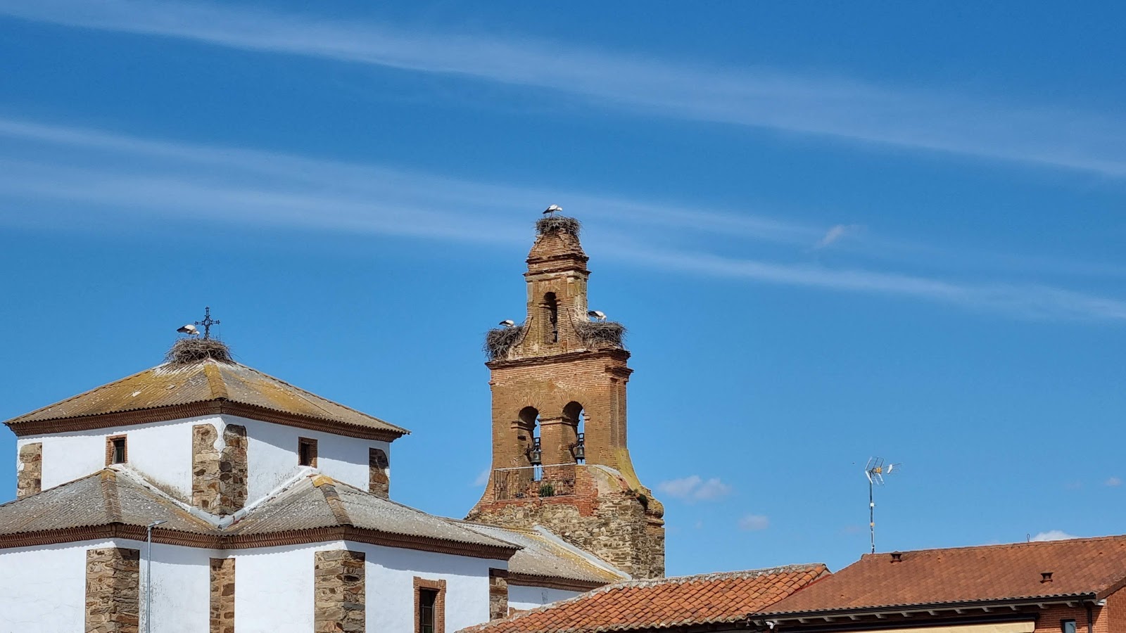 Albergue La Encina photo 20, hostel accommodation in Hospital de Orbigo on the Camino Frances