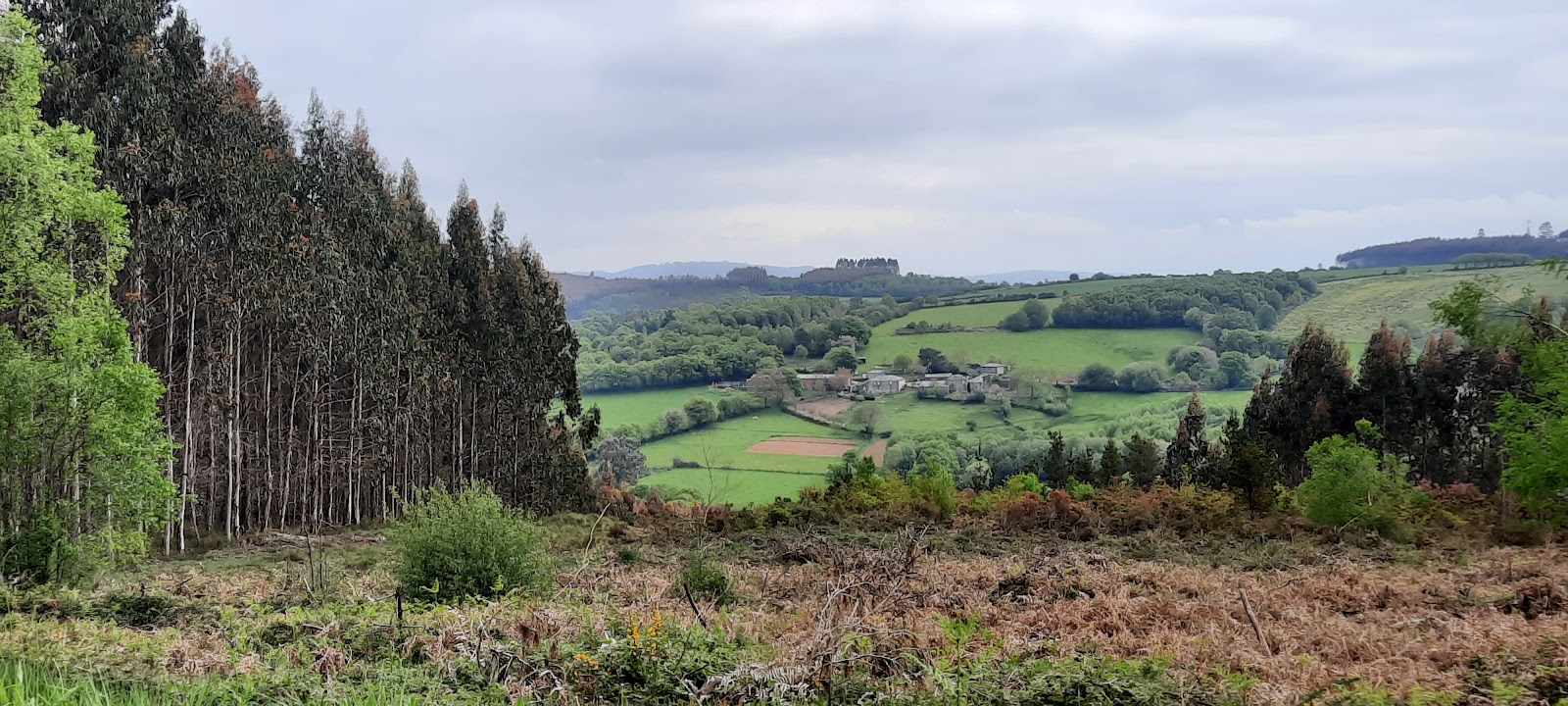 Ligonde locality view on the Camino Frances route