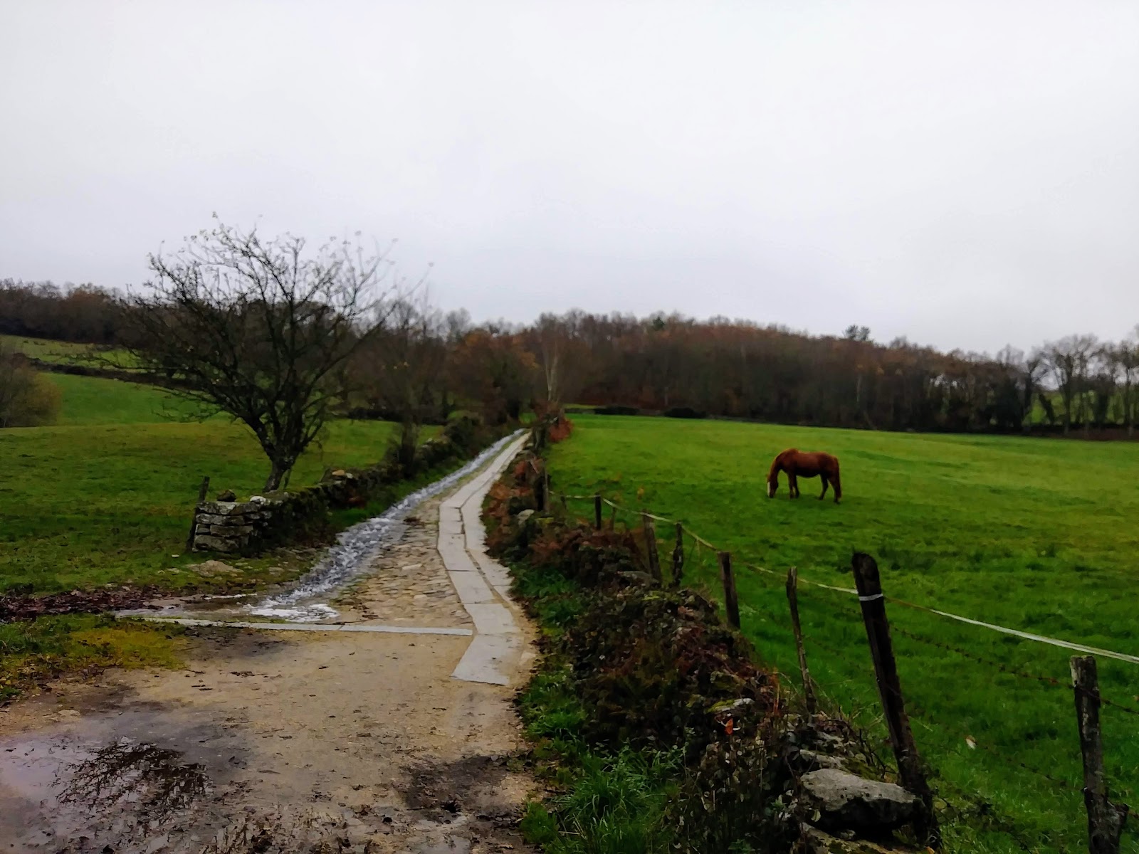 Morgade locality view on the Camino Frances route