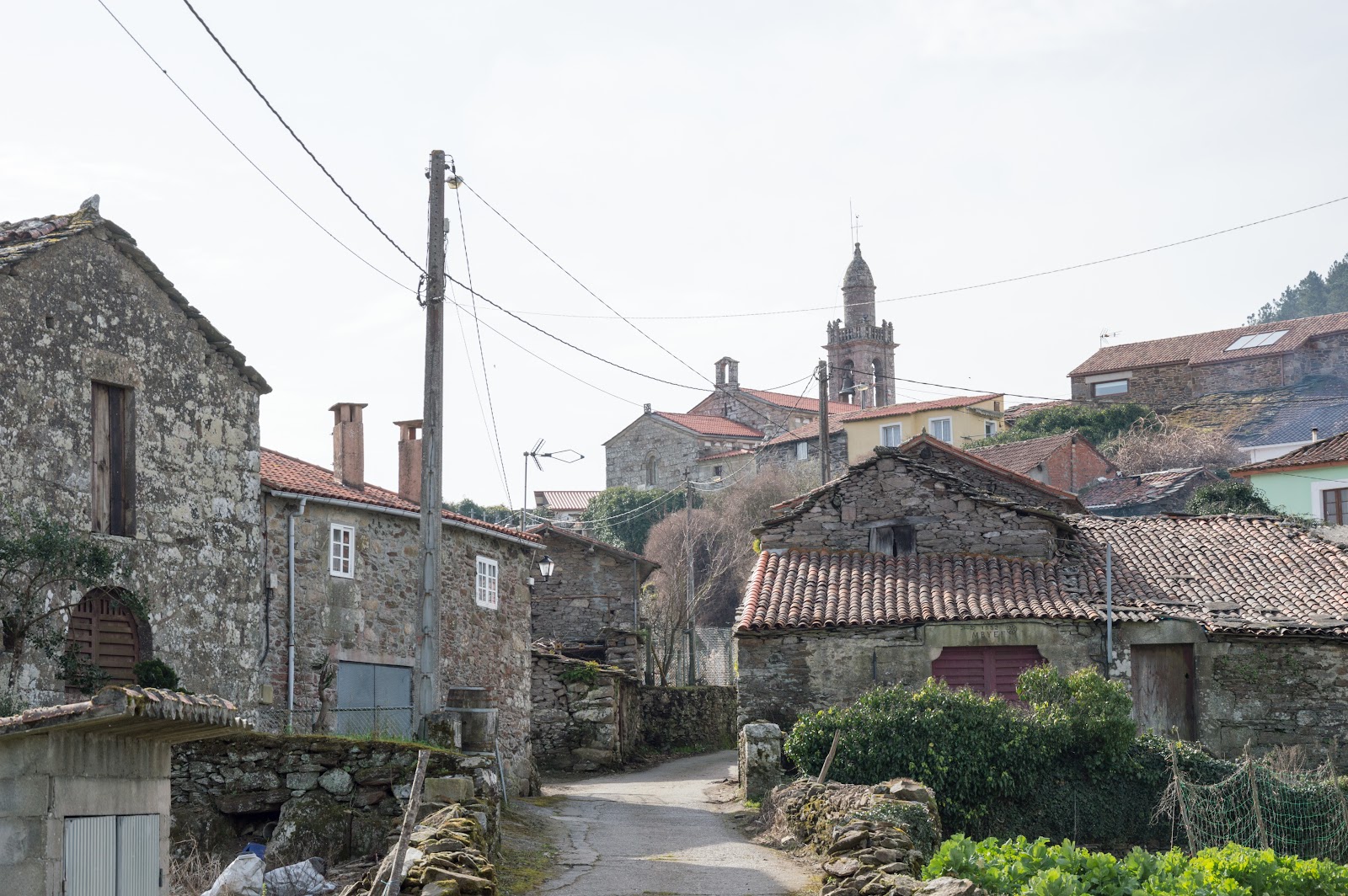 Airexe locality view on the Camino Frances route