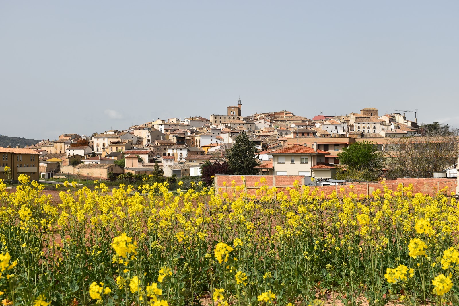 Cirauqui locality view on the Camino Frances route