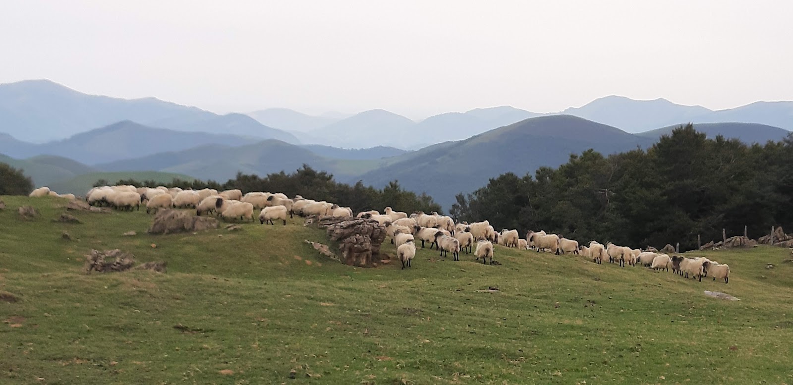 Zuriain locality view on the Camino Frances route