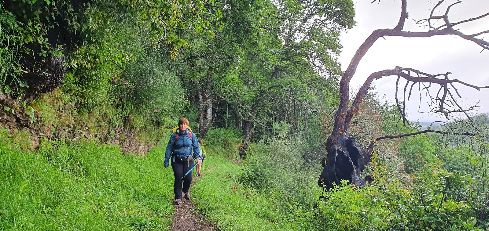 San Cristovo do Real (Lusio) locality view on the Camino Frances route