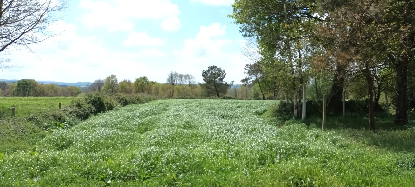 A Pena locality view on the Camino Frances route