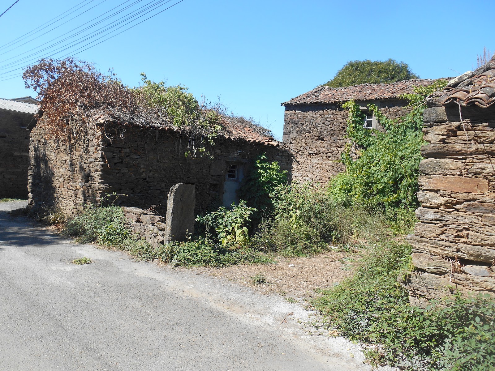 A Rua locality view on the Camino Frances route