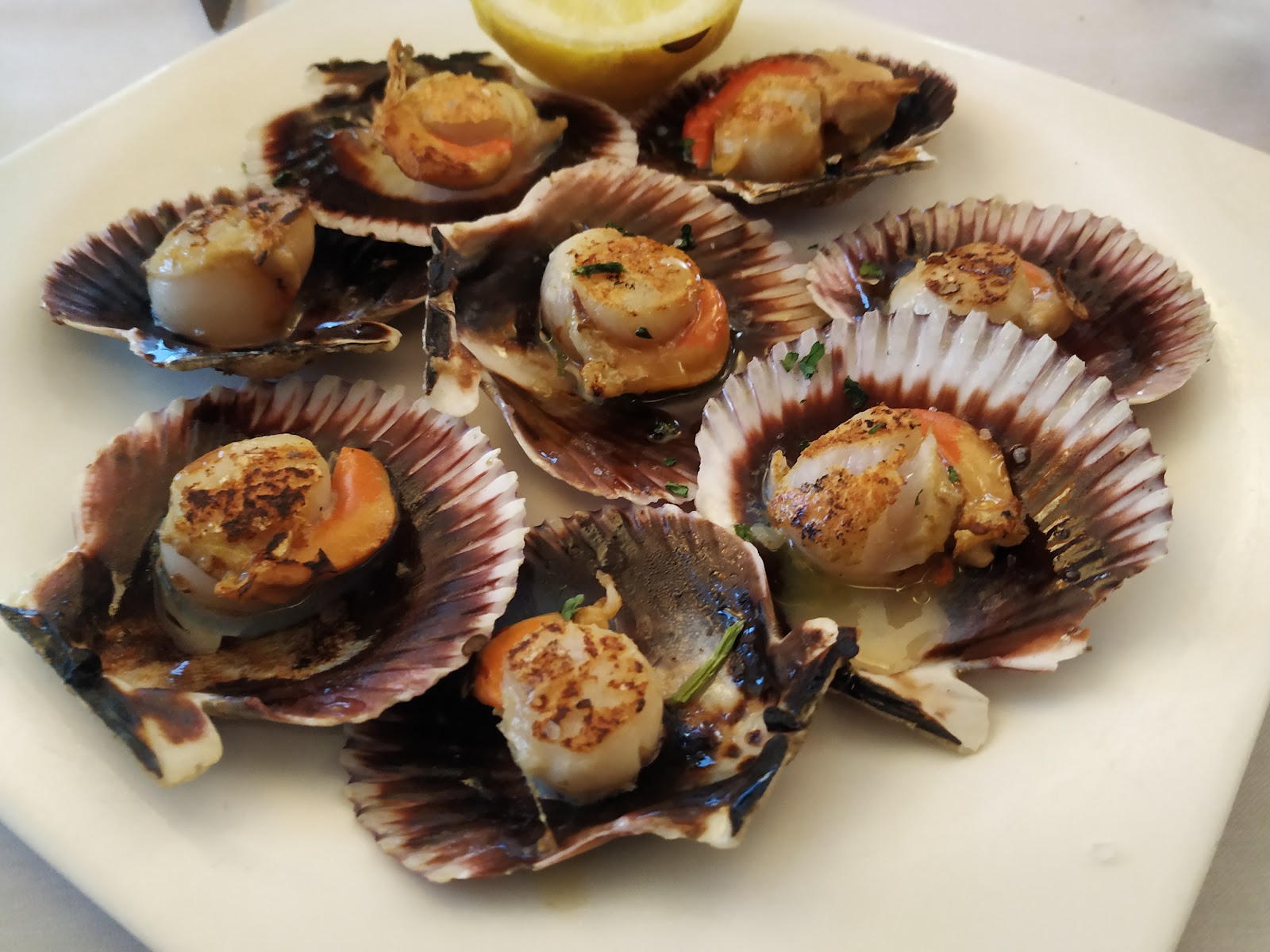 Restaurante Mar de Plata photo 5, hotel accommodation in Sarria on the Camino Frances