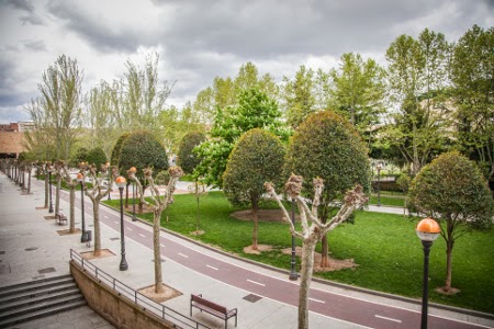 Pensión Parque del Ebro photo 6, pension accommodation in Logroño on the Camino Frances