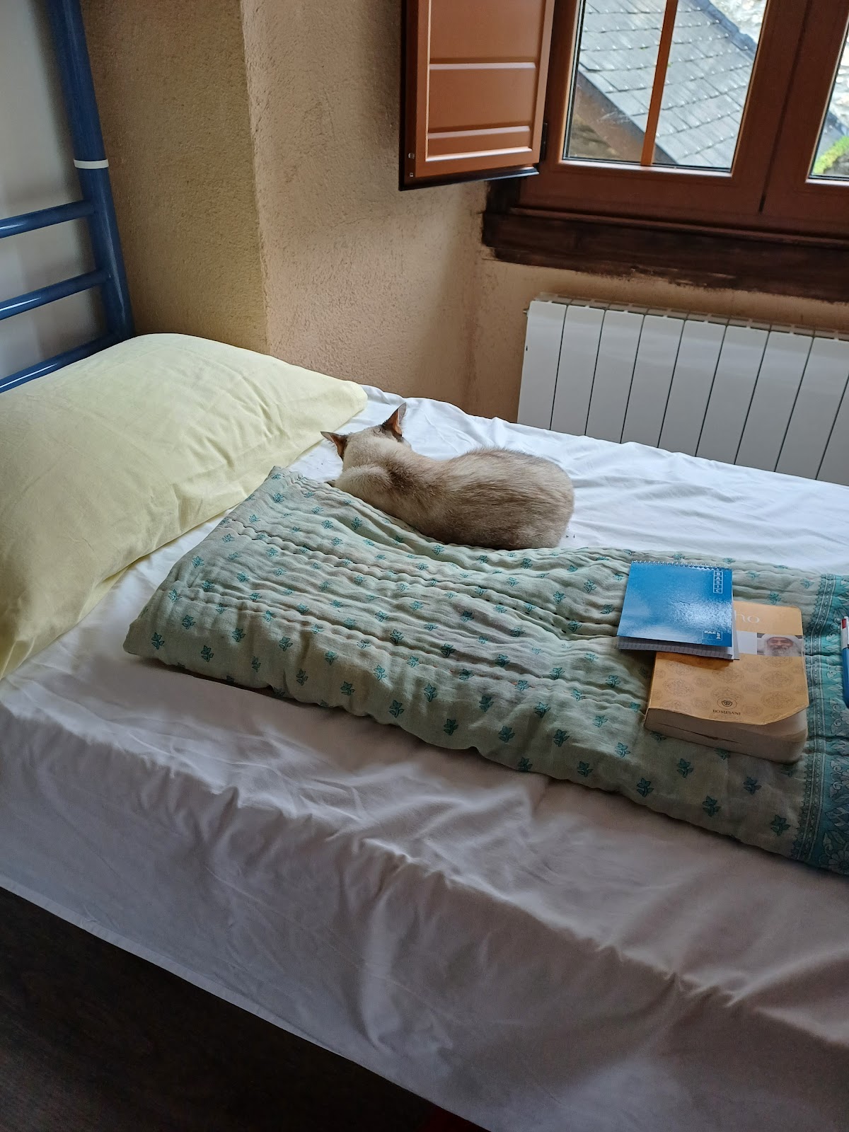 Casa Cantadora photo 12, hostel accommodation in Ambasmestas on the Camino Frances