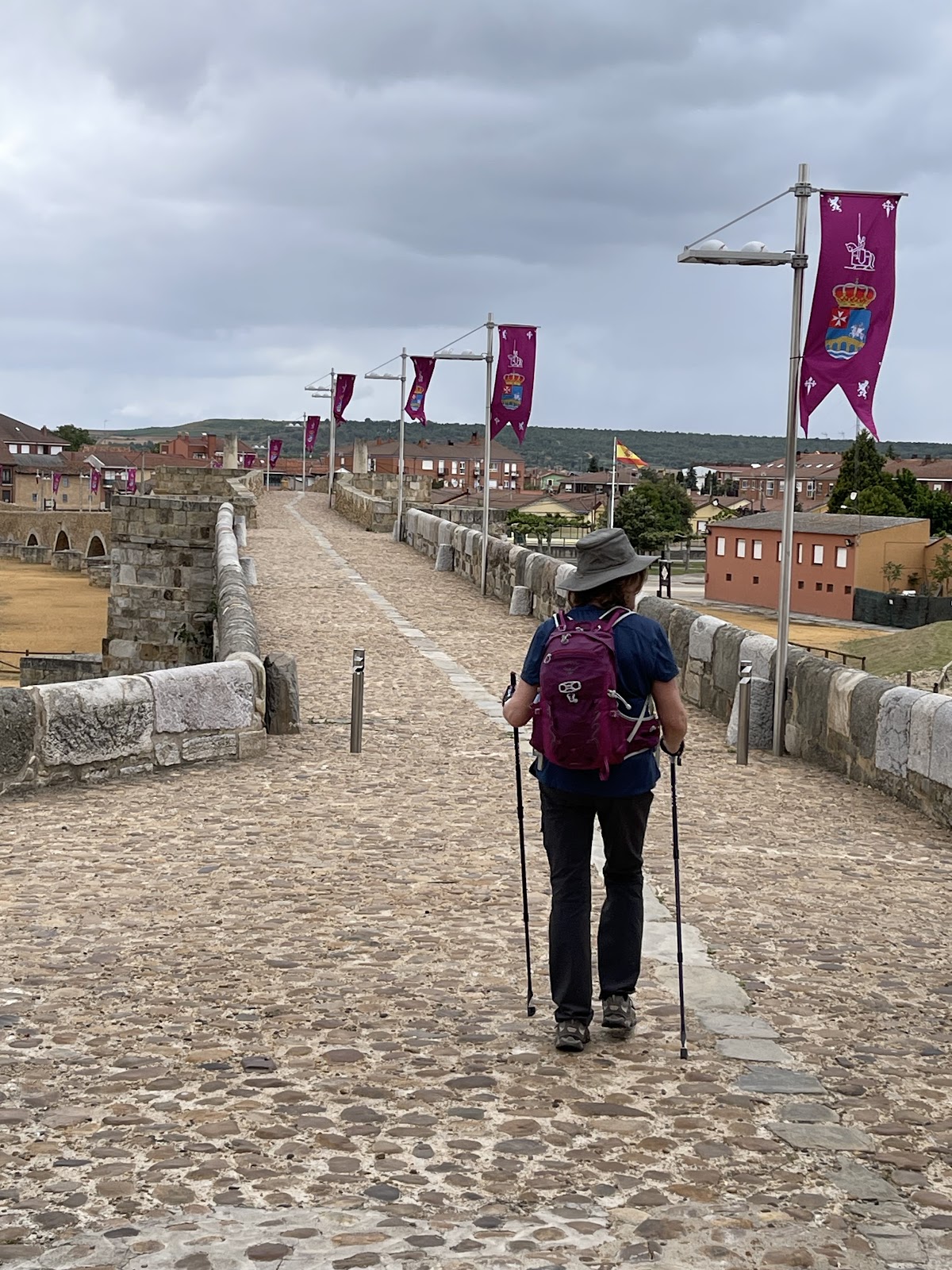 Don Suero de Quiñones photo 16, hotel accommodation in Hospital de Orbigo on the Camino Frances