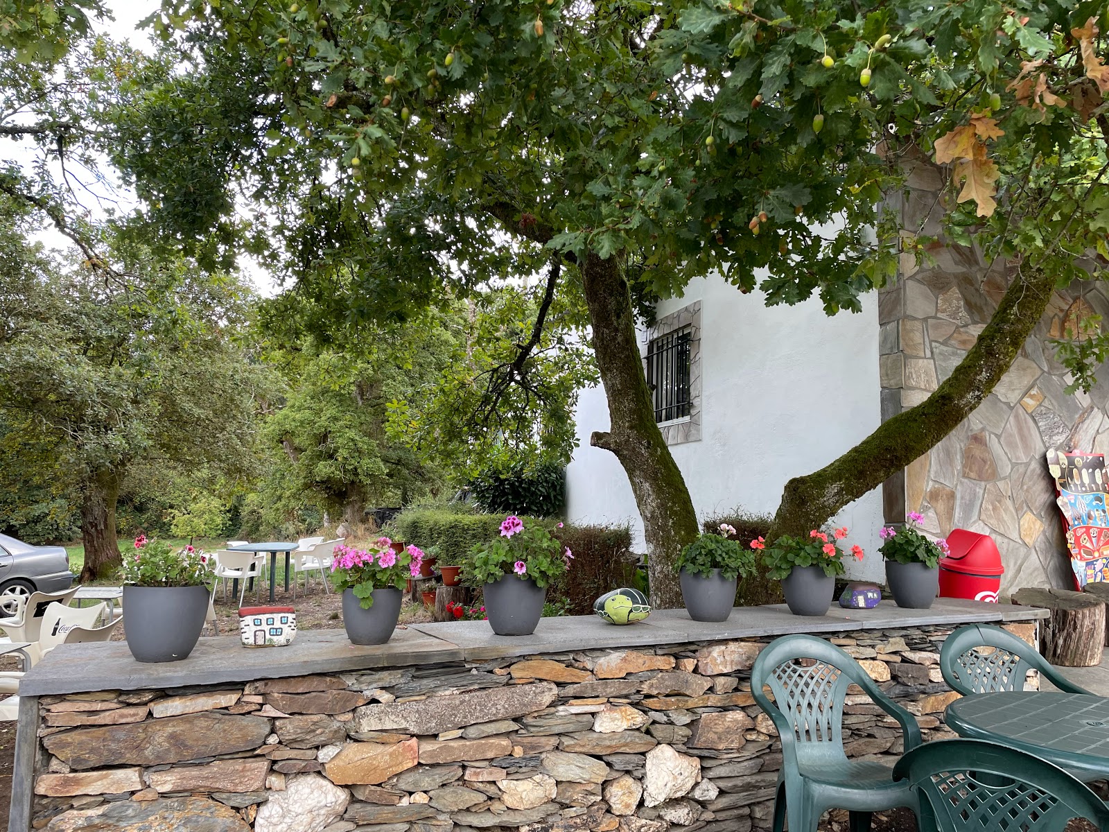 Pension Casa Maruja photo 7, pension accommodation in Castromayor on the Camino Frances