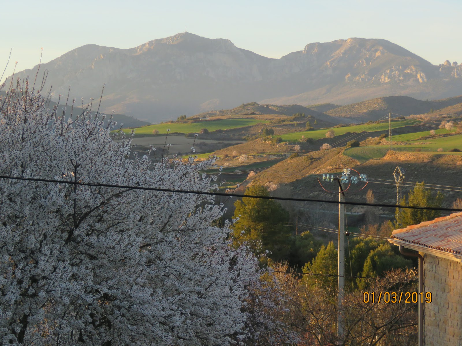 Casa Egipcia photo 6, apartment accommodation in Torres del Rio on the Camino Frances