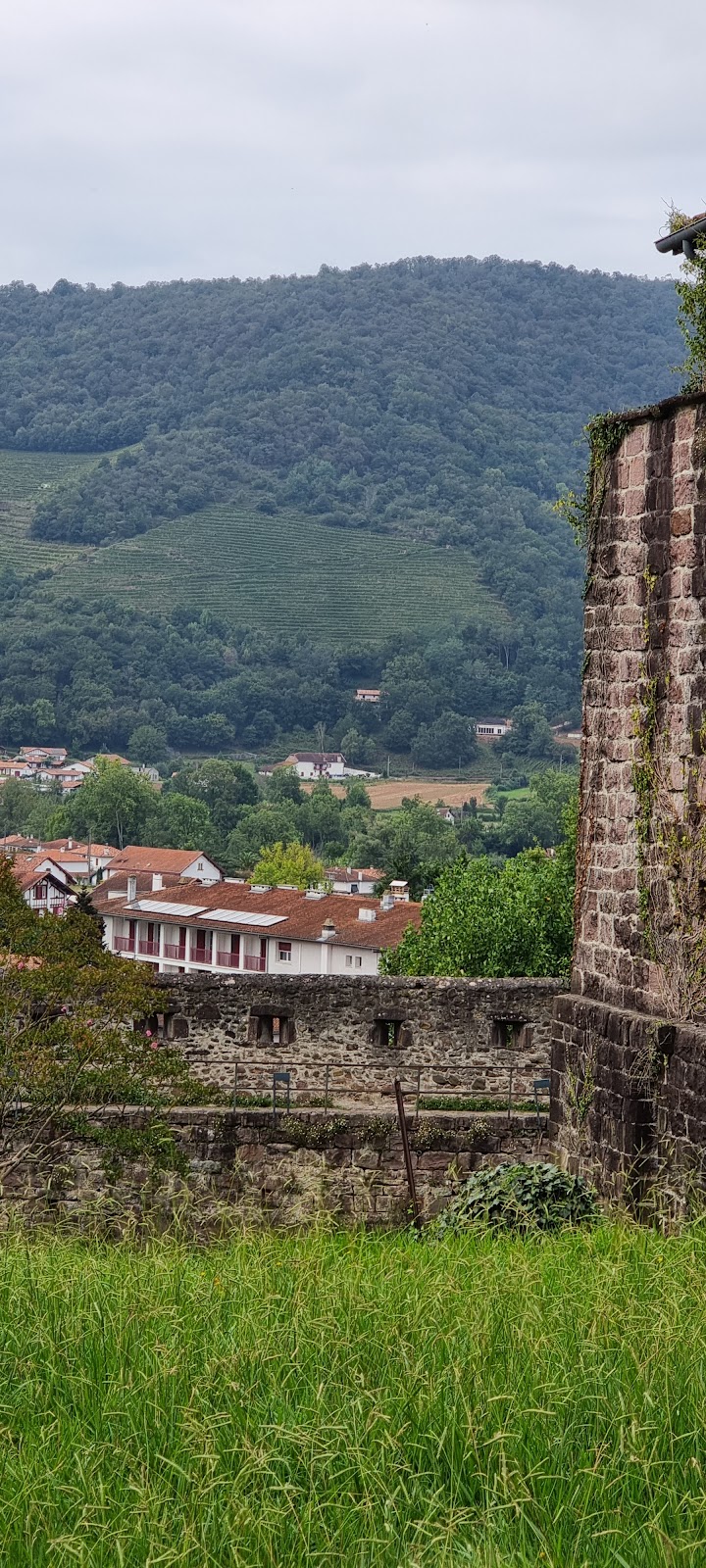 Les Chemins D'Elika photo 9, pension accommodation in St Jean Pied de Port on the Camino Frances