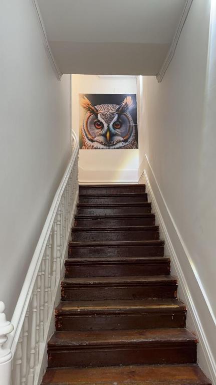 Owls Hostel Ildefonso photo 6, albergue accommodation in Porto on the Camino Portuguese