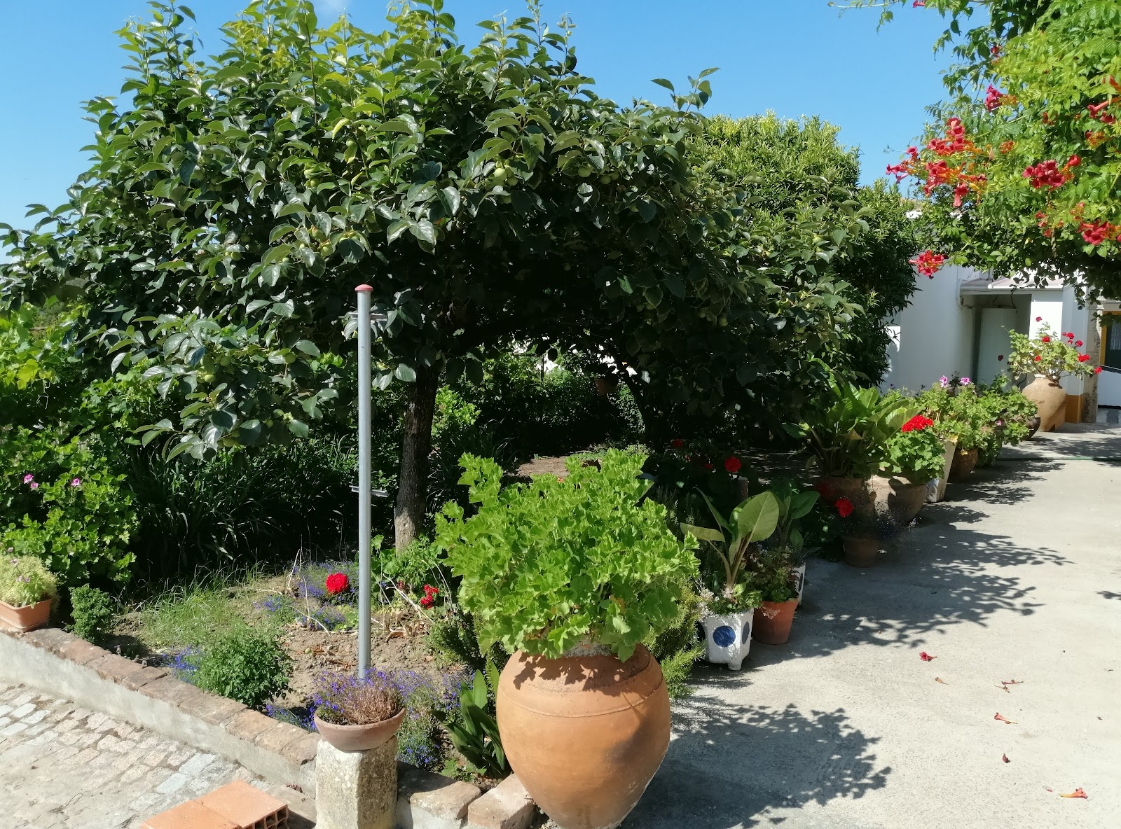 Quartos do Lagar photo 7, pension accommodation in Golega on the Camino Portuguese