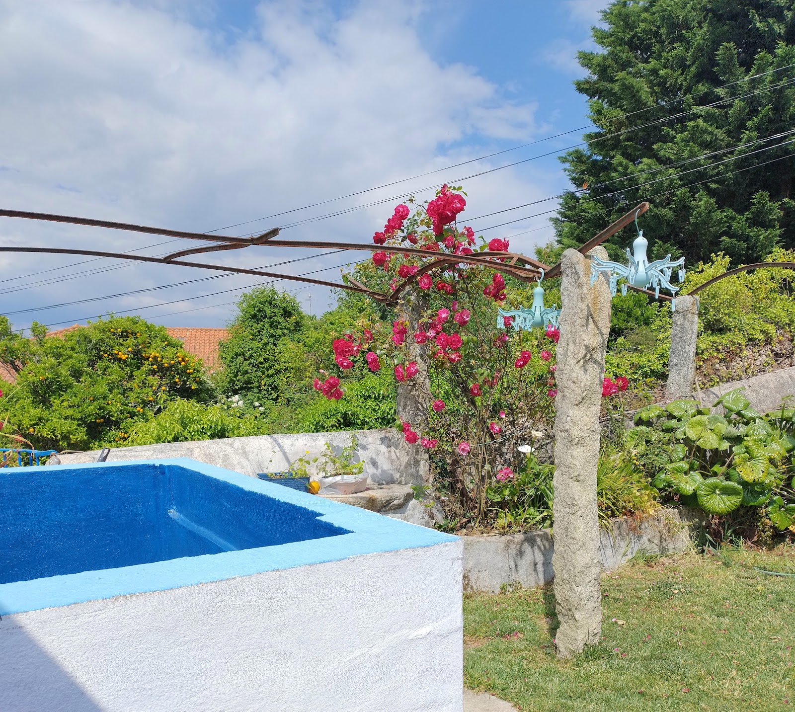 Bom Caminha photo 3, albergue accommodation in Caminha on the Camino Portuguese