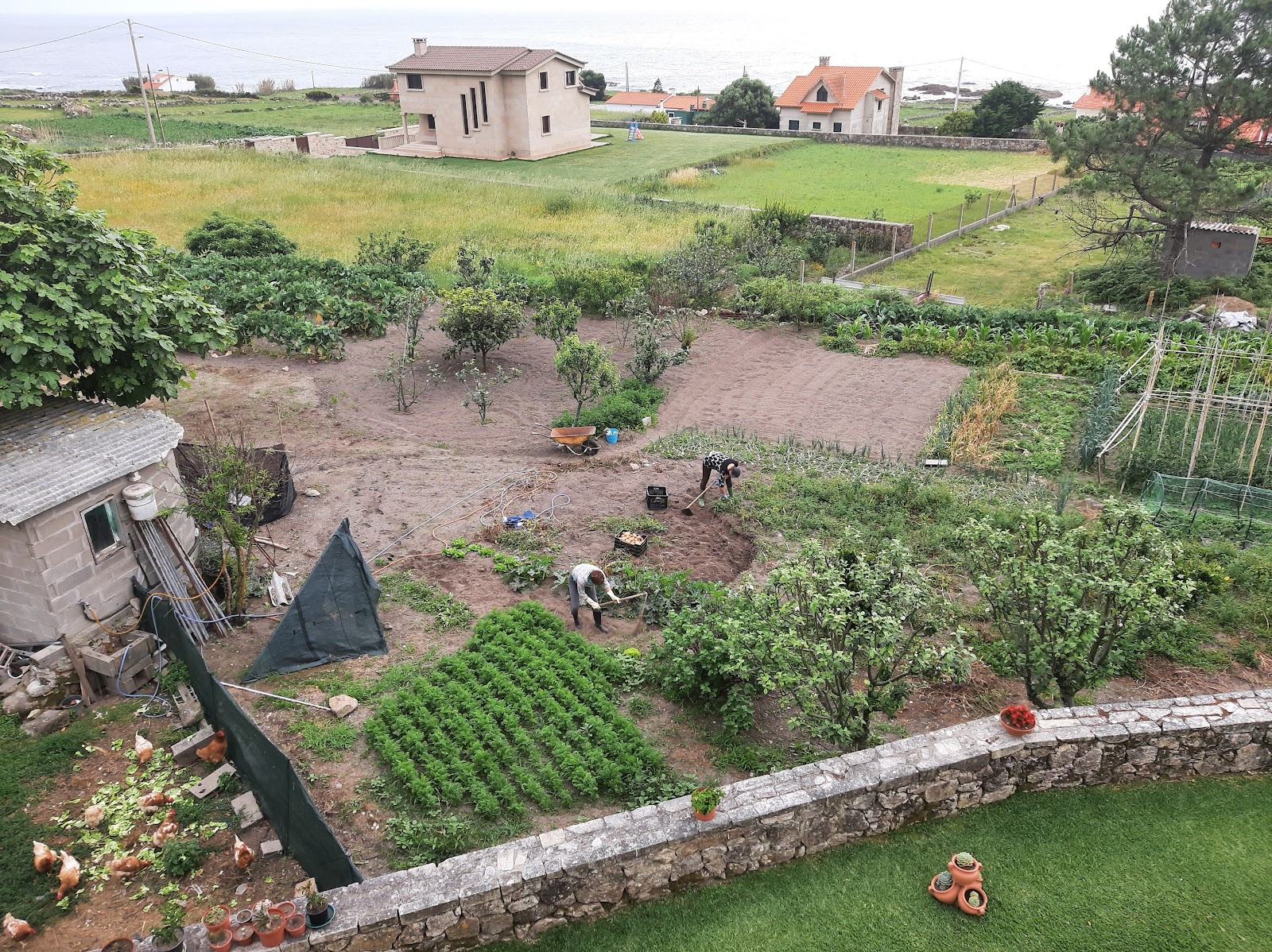 Casa Toñi, apartment accommodation in Oia on the Camino Portuguese