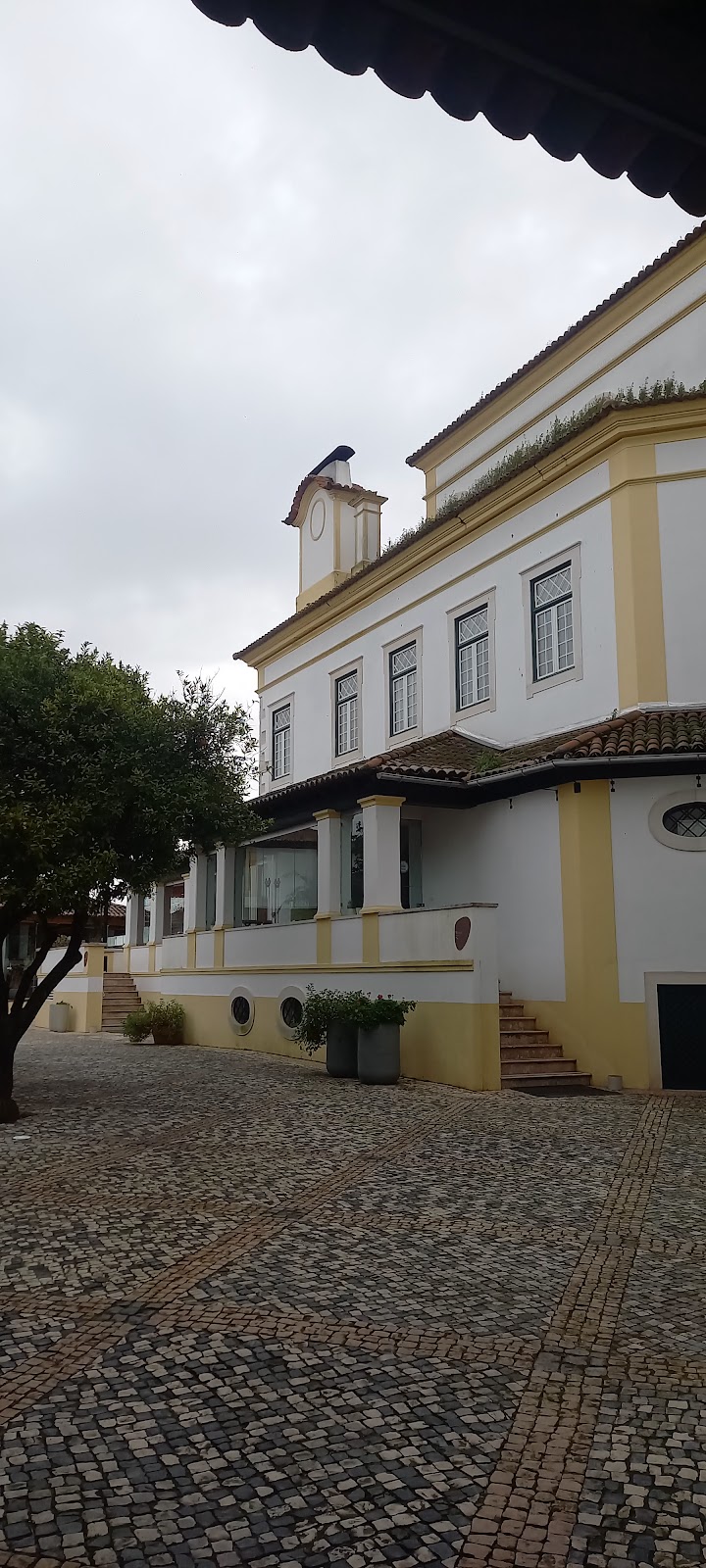 Hotel Lusitano photo 6, hotel accommodation in Golega on the Camino Portuguese