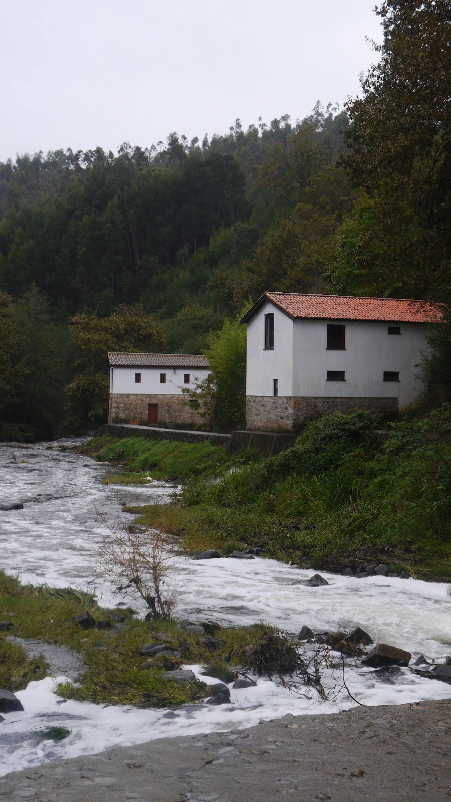 Quinta de Fonte Joana photo 2, unknown accommodation in Oliveira de Azemeis on the Camino Portuguese
