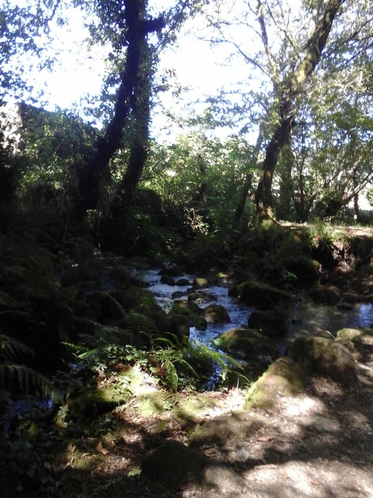 Rias baixas silvan 11 photo 5, unknown accommodation in Amenteira on the Camino Portuguese