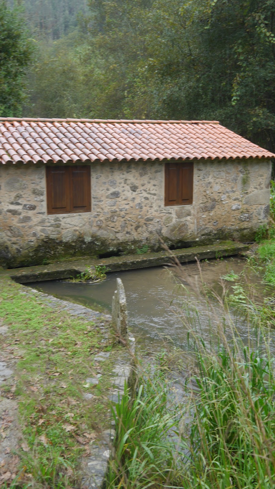 Quinta de Fonte Joana photo 9, unknown accommodation in Oliveira de Azemeis on the Camino Portuguese