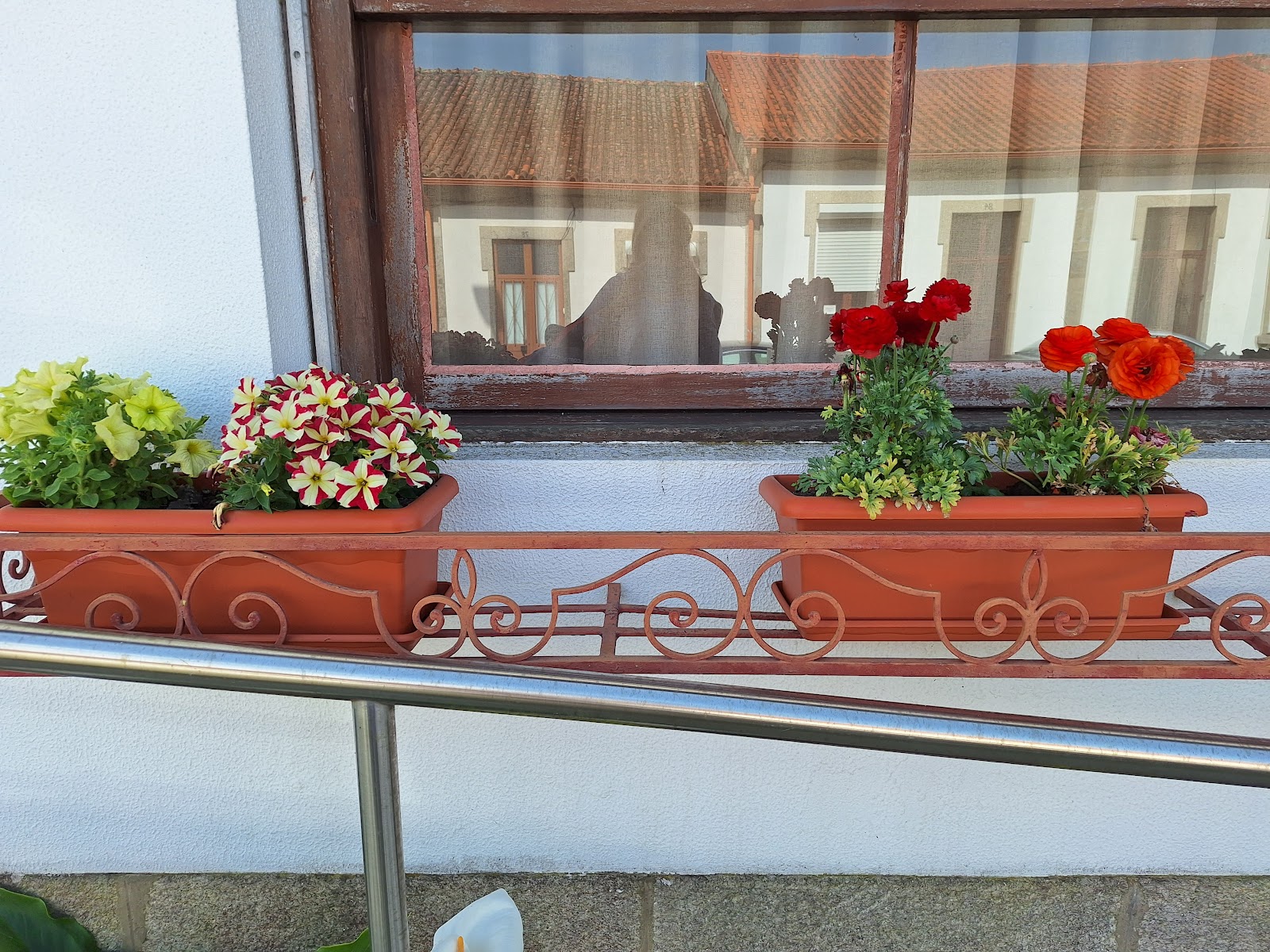 Villa Margarida photo 4, albergue accommodation in Viana do Castelo on the Camino Portuguese