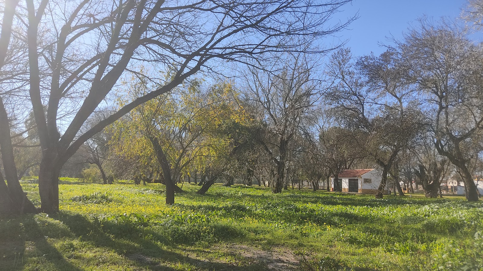 Casa do Ferreiro by Valada Village photo 8, pension accommodation in Valada on the Camino Portuguese