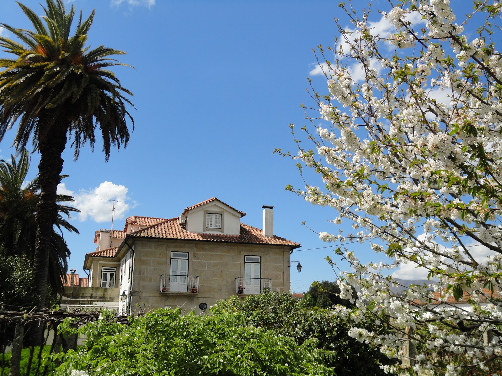 Casa de São Gonçalo, pension accommodation in Ponte de Lima on the Camino Portuguese
