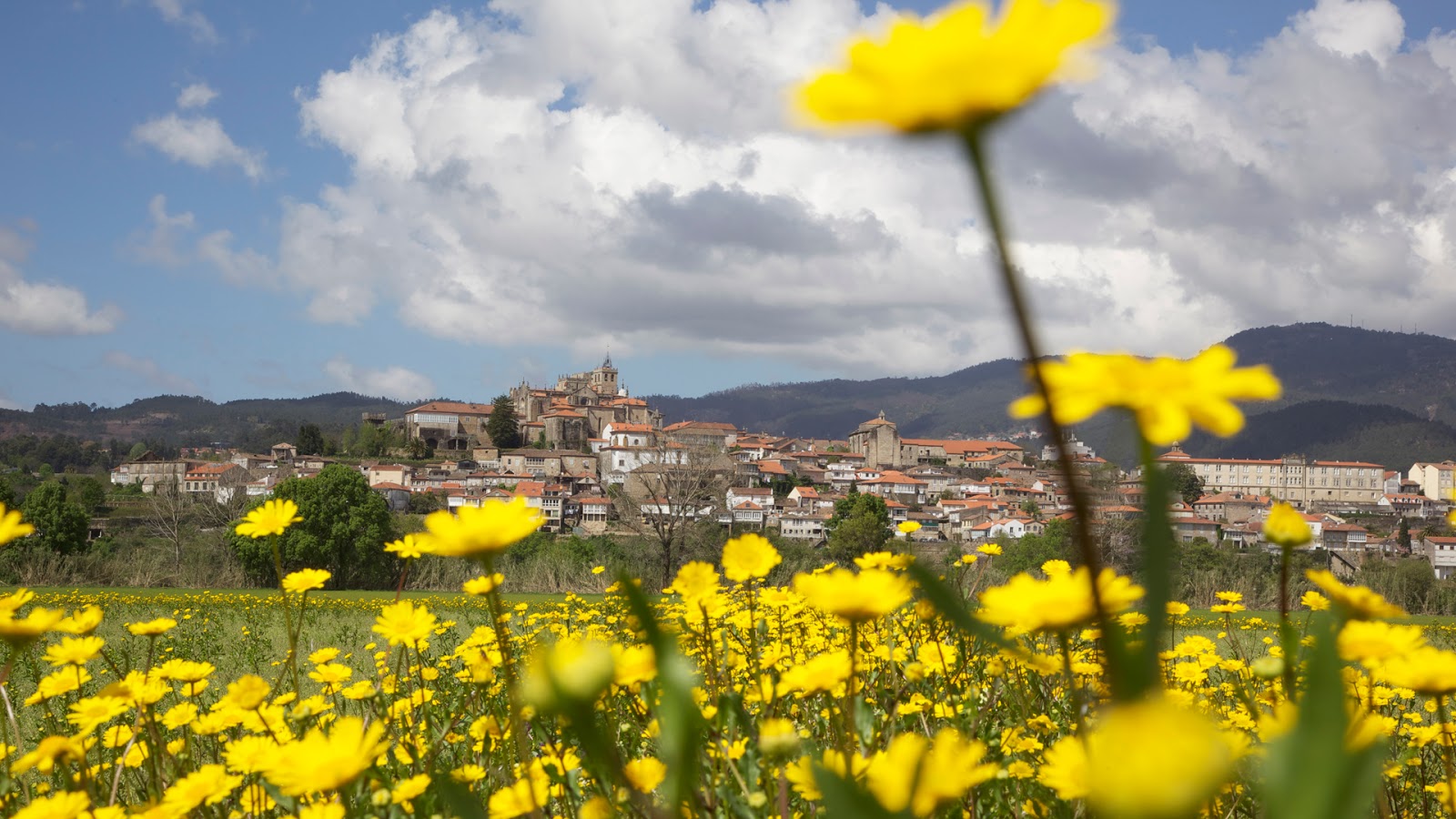Albergue Ideas Peregrinas photo 7, albergue accommodation in Tui on the Camino Portuguese