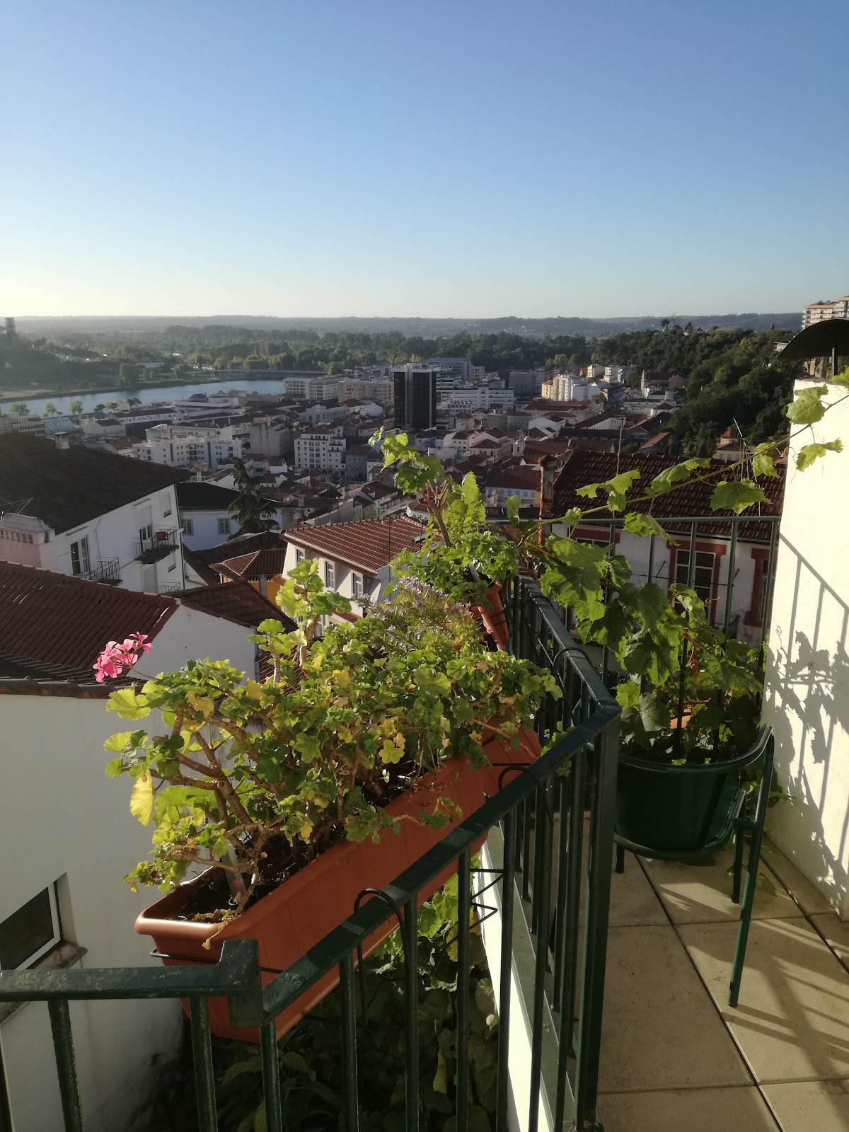 GUESTHOUSE CASA POMBAL photo 8, pension accommodation in Coimbra on the Camino Portuguese
