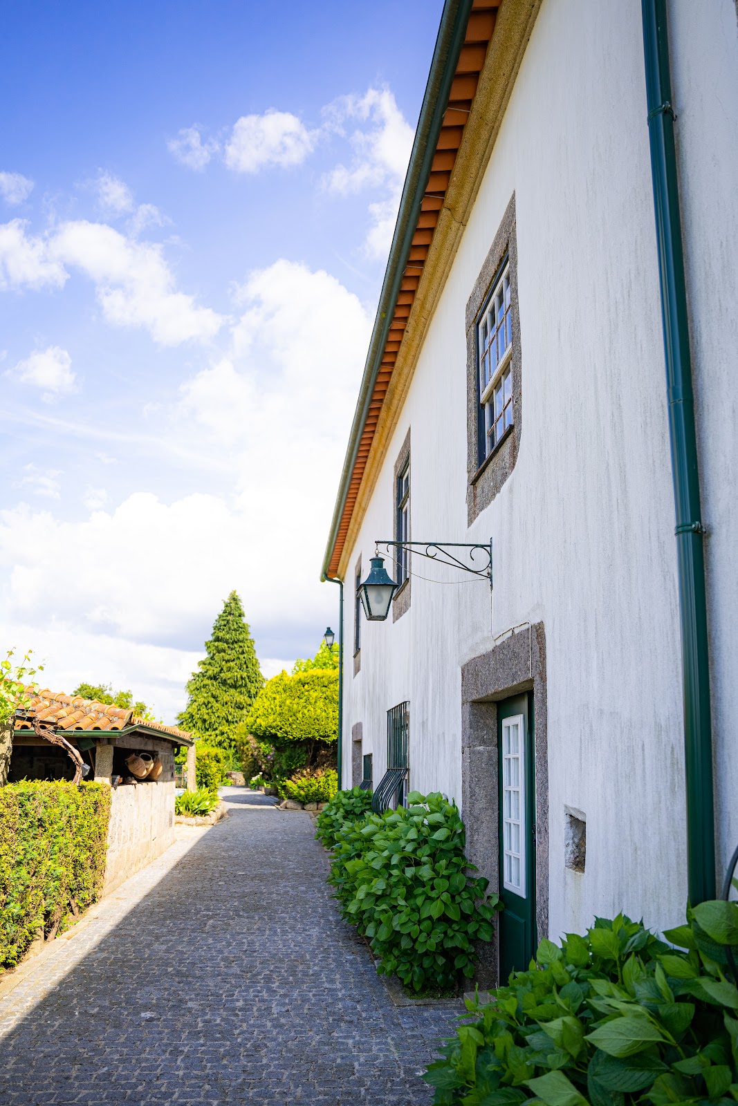 Quinta da Aldeia photo 6, apartment accommodation in Ponte de Lima on the Camino Portuguese