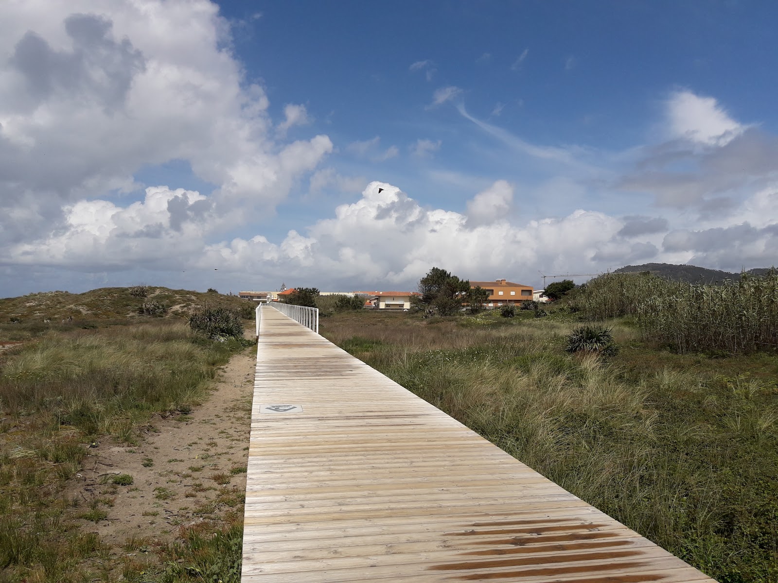 Praia Mar Alojamento Local photo 5, apartment accommodation in Marinhas on the Camino Portuguese