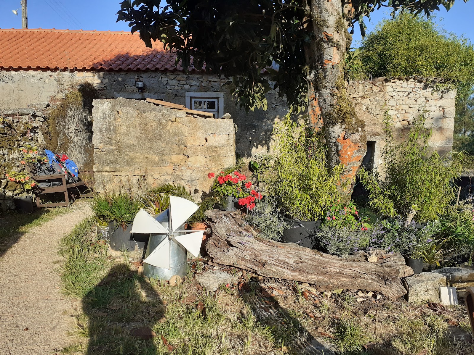 Albergue ibon photo 5, albergue accommodation in Ansiao on the Camino Portuguese