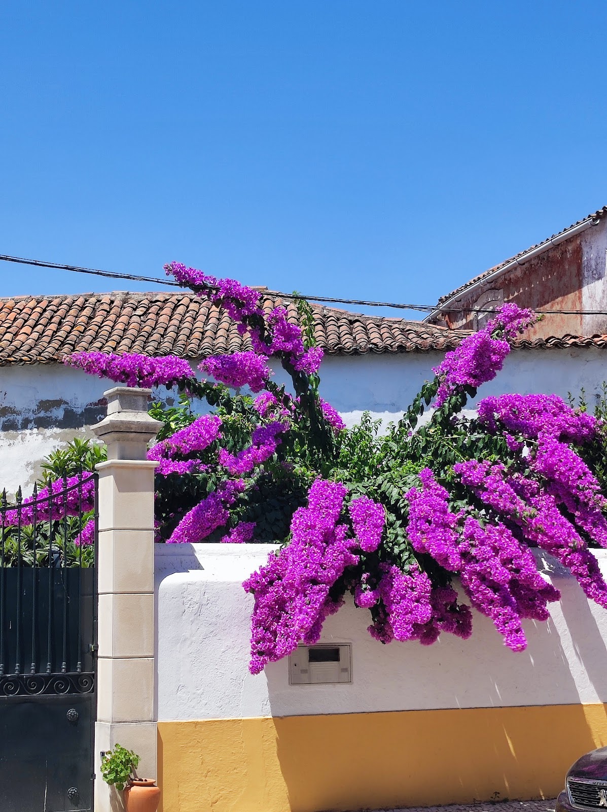 Albergue Solo Duro photo 8, albergue accommodation in Golega on the Camino Portuguese