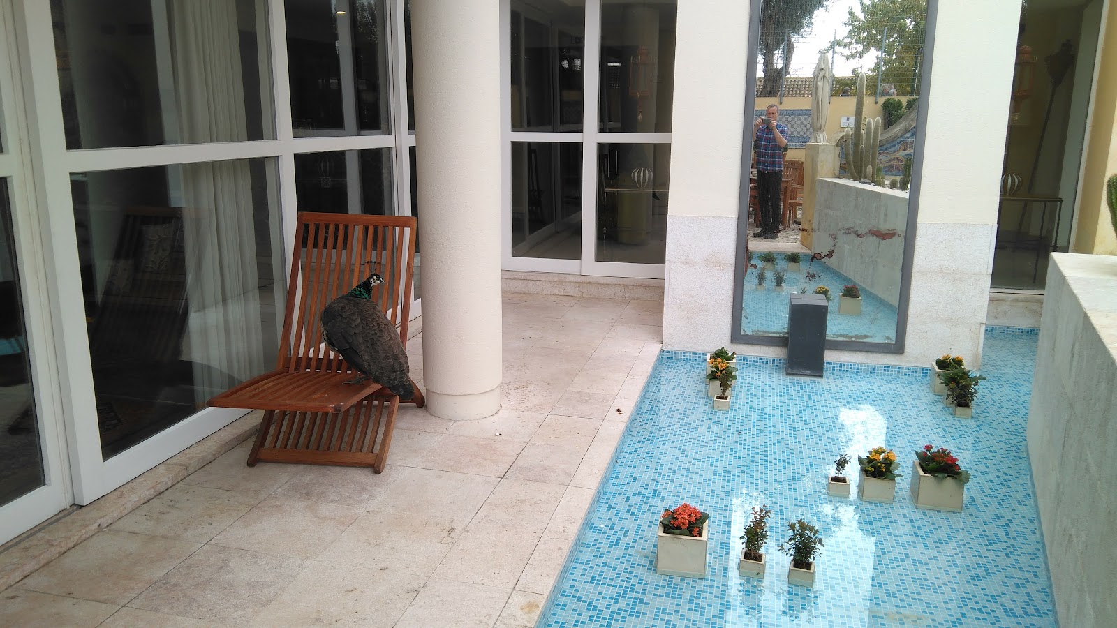 Solar do Castelo photo 3, hotel accommodation in Lisbon on the Camino Portuguese