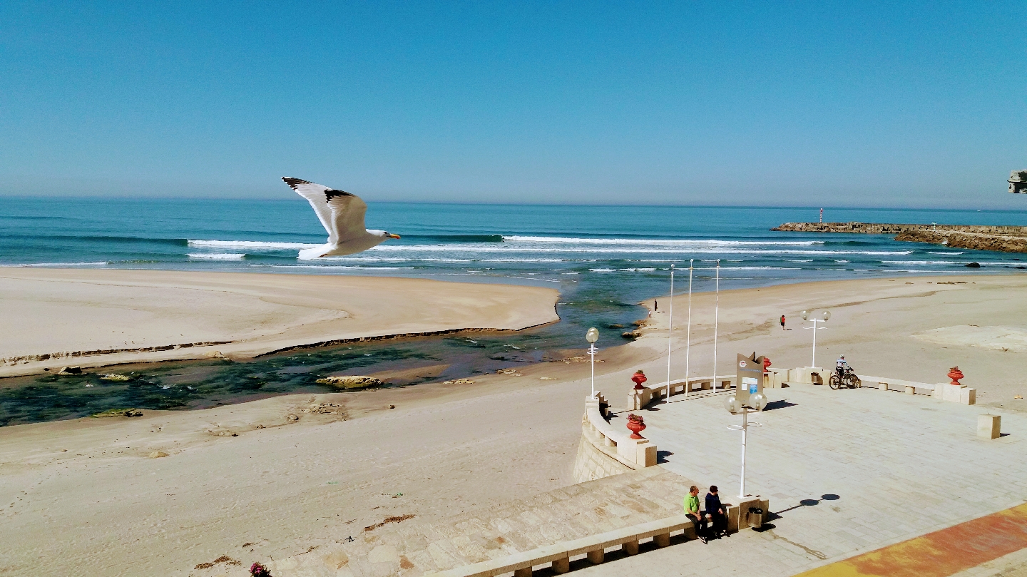 Blue Anchor Apartment, apartment accommodation in Vila Praia de Ancora on the Camino Portuguese