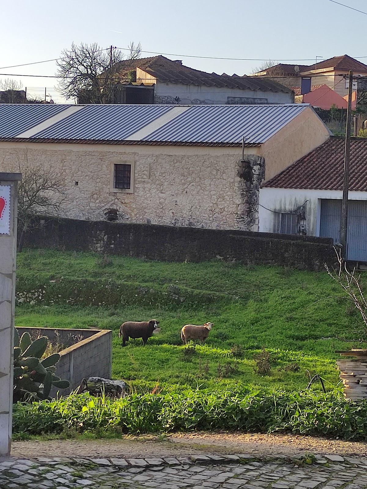 Albergue Monsanto photo 4, albergue accommodation in Monsanto on the Camino Portuguese