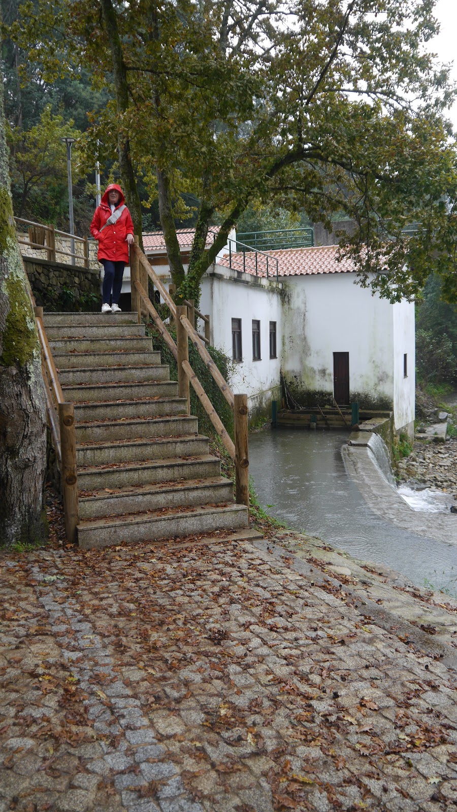 Quinta de Fonte Joana photo 5, unknown accommodation in Oliveira de Azemeis on the Camino Portuguese