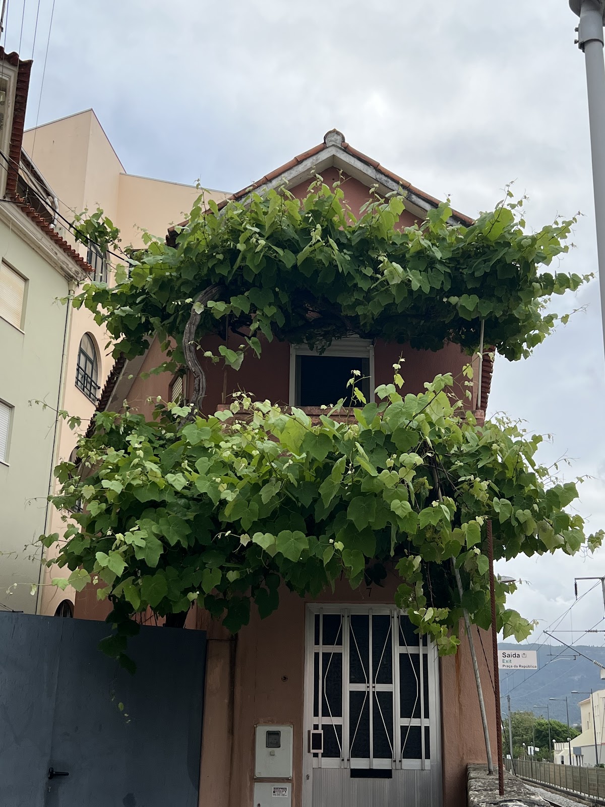 Baixinho Guest House photo 9, pension accommodation in Vila Praia de Ancora on the Camino Portuguese